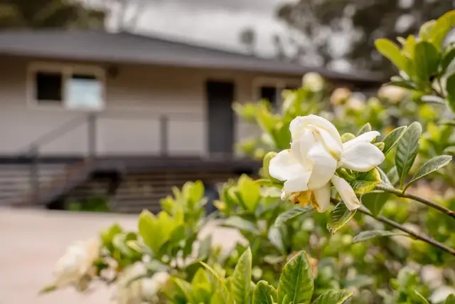 Listing Image for 1042 Ehu Rd A 30 of 33