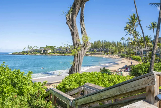 Listing Image for 50 Napili Pl 219 20 of 28