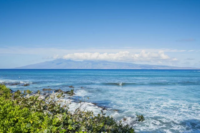 Listing Image for 50 Napili Pl 219 22 of 28