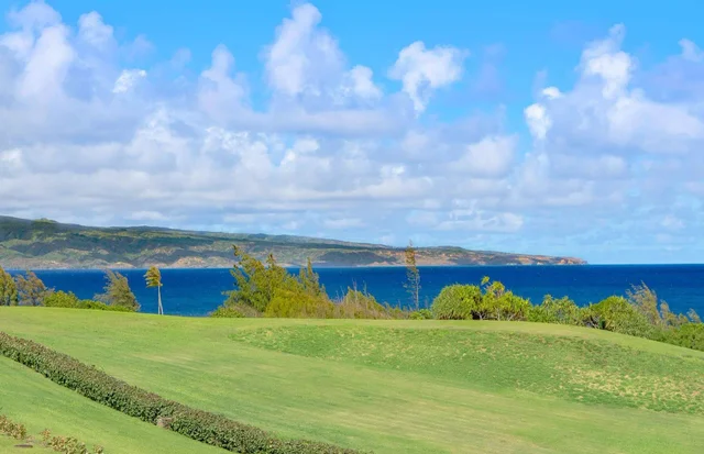 Listing Image for 1 Ritz Carlton Dr 1226-1228 3 of 27