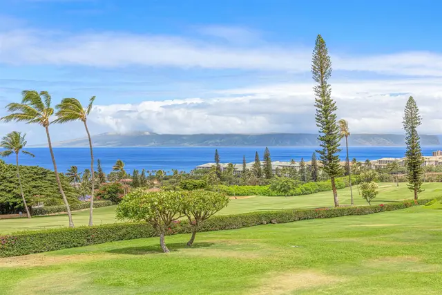 Listing Image for 50 Puu Anoano St 1004 5 of 38