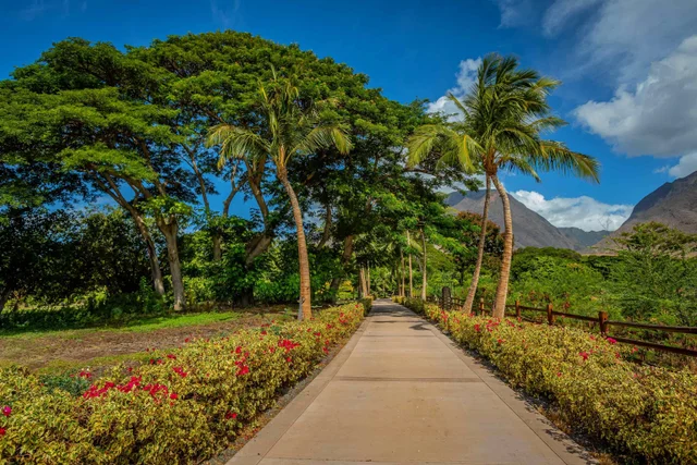 Listing Image for 11505 Honoapiilani Hwy 12 of 30