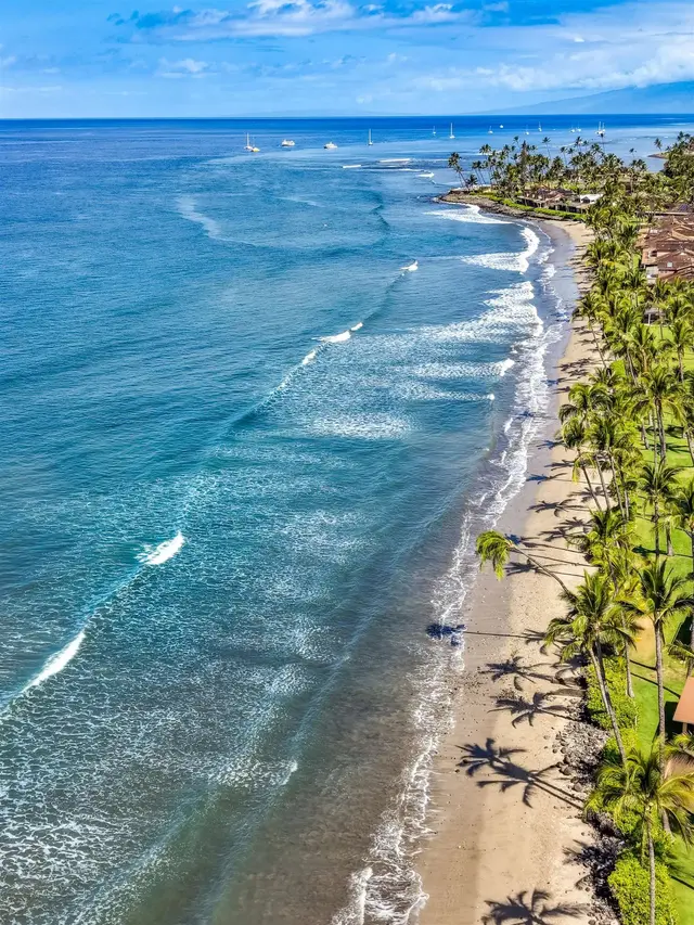 Listing Image for 24 Puamelia Pl 24-4 9 of 49