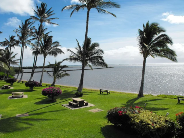 Listing Image for Kamehameha V Hwy 123b 7 of 25