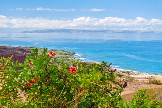 Listing Image for 454 Wailau Pl 34 of 50