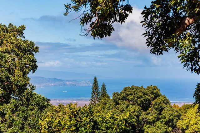 Listing Image for 50 Poha Pl 17 of 50