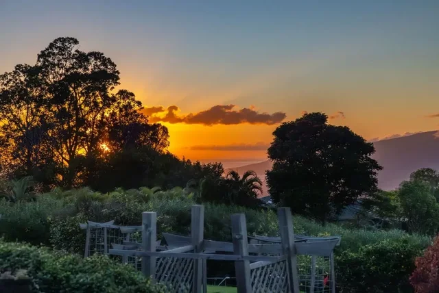 Listing Image for 50 Poha Pl 2 of 50