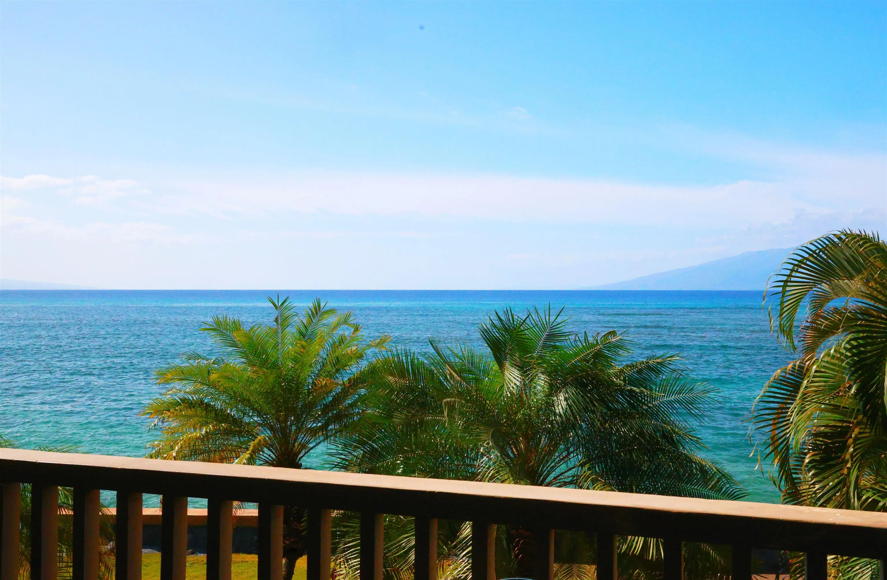 Photo of Listing #408419