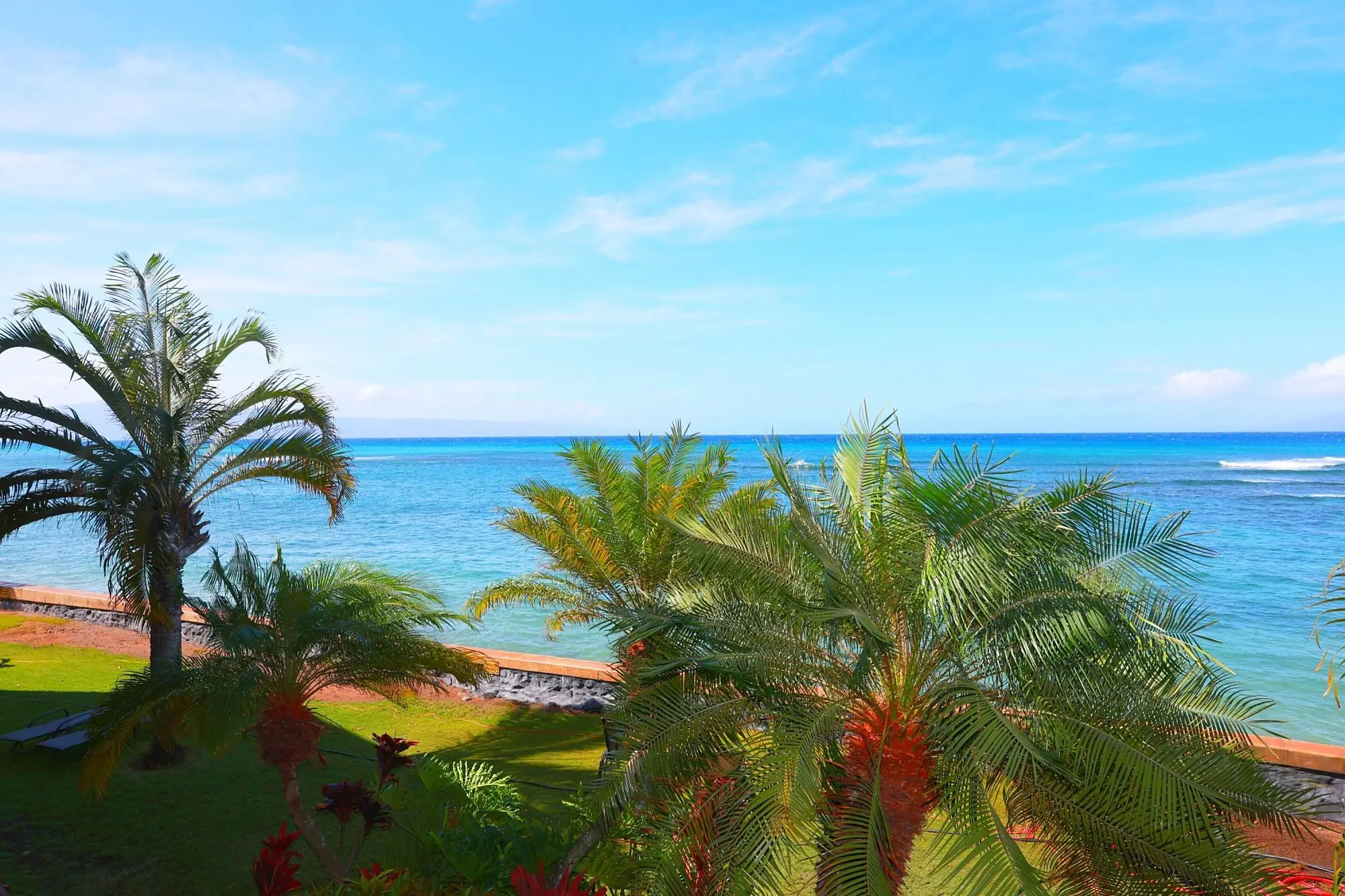 Photo of Listing #408419