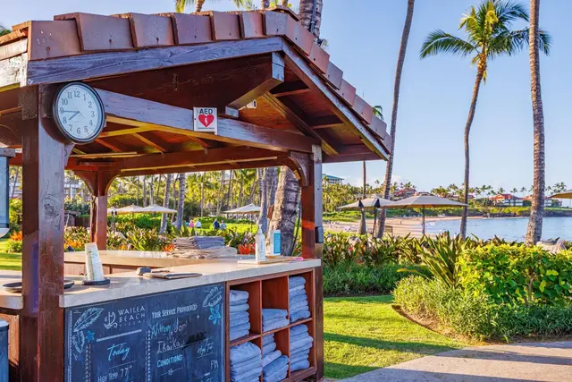 Listing Image for 3800 Wailea Alanui Dr J 106 18 of 50