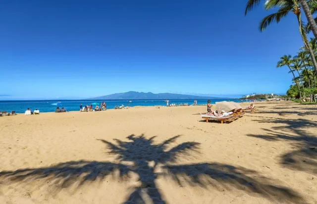 Listing Image for 50 Nohea Kai Dr 2-205 31 of 36