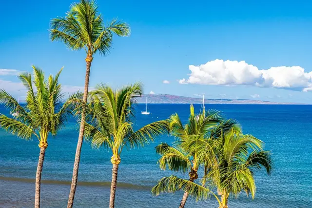 Listing Image for 191 N Kihei Rd 502 6 of 39