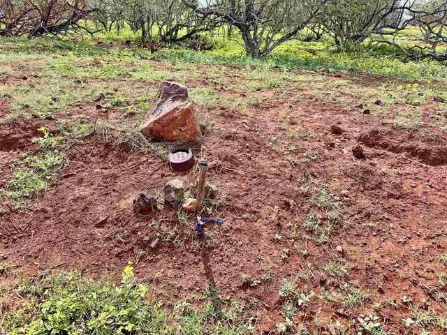 Listing Image for 0 Pa Loa Loop 232 10 of 24
