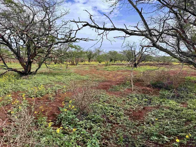 Listing Image for 0 Pa Loa Loop 232 14 of 24