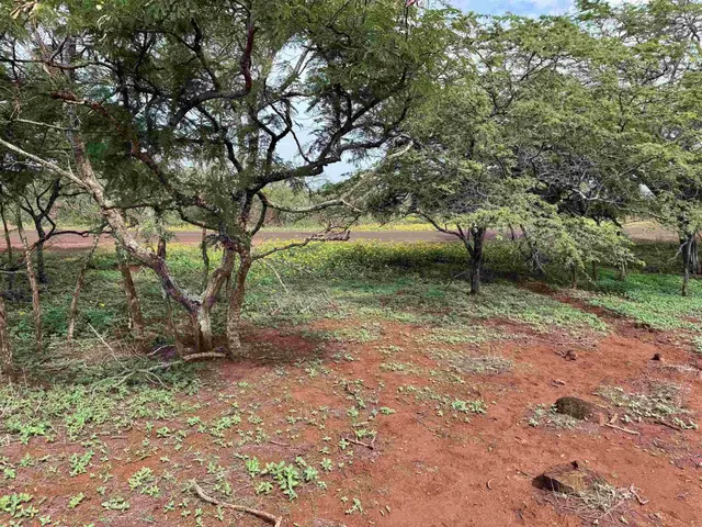 Listing Image for 0 Pa Loa Loop 232 20 of 24