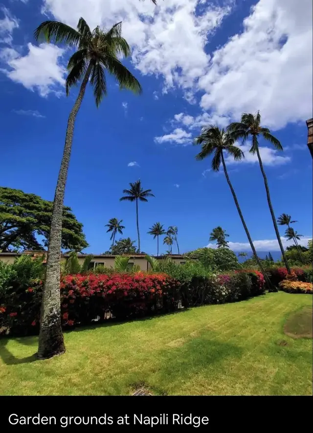 Listing Image for 120 Hui F Rd J1 25 of 36