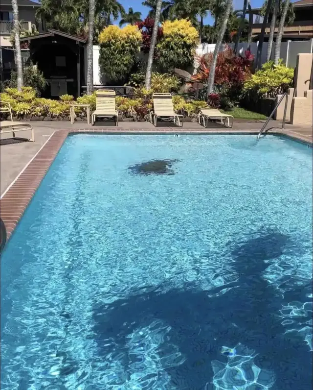 Listing Image for 120 Hui F Rd J1 31 of 36
