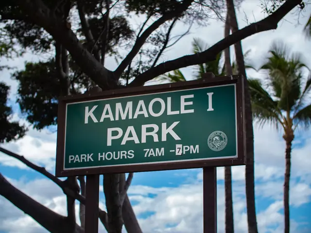 Listing Image for 2385 S Kihei Rd 309 37 of 40