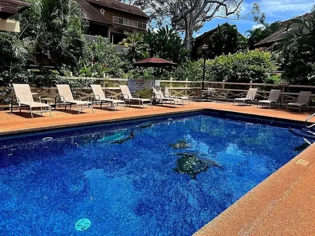 Listing Image for 100 Lio Pl J-3 30 of 40