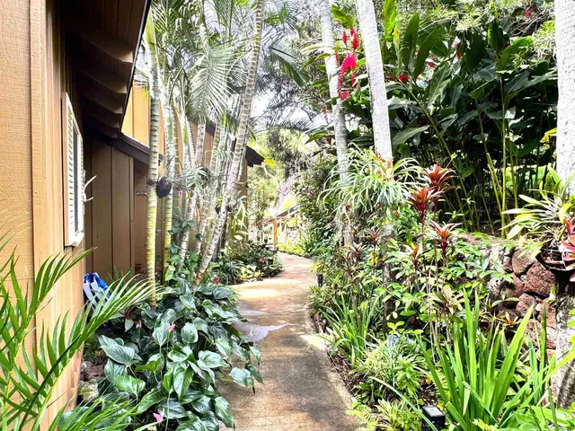 Listing Image for 100 Lio Pl J-3 38 of 40