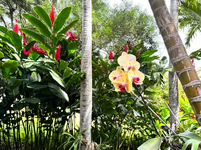 Listing Image for 100 Lio Pl J-3 39 of 40
