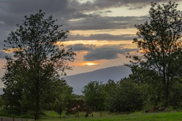 Listing Image for 11 Huliamahi Pl Unit B 2 of 20