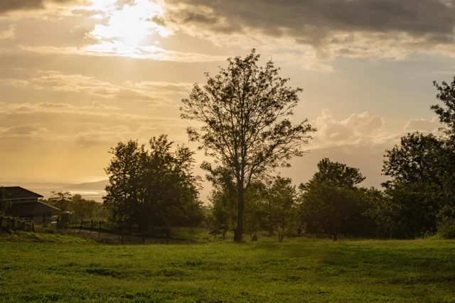 Listing Image for 11 Huliamahi Pl Unit B 7 of 20