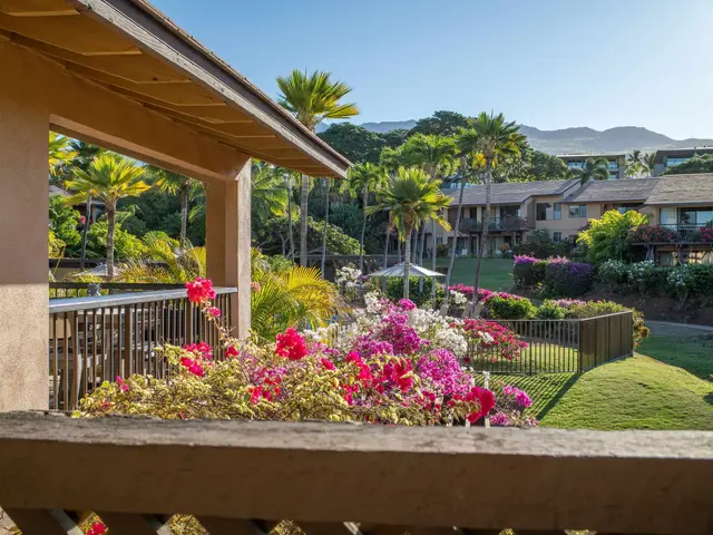 Listing Image for 3300 Wailea Alanui Dr 41c 13 of 50
