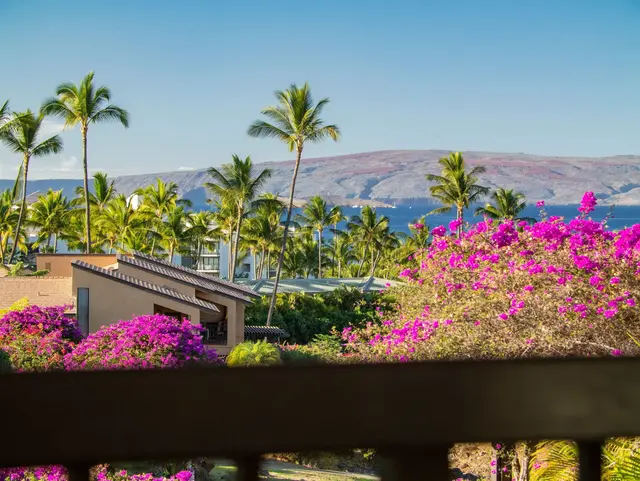 Listing Image for 3300 Wailea Alanui Dr 41c 28 of 50