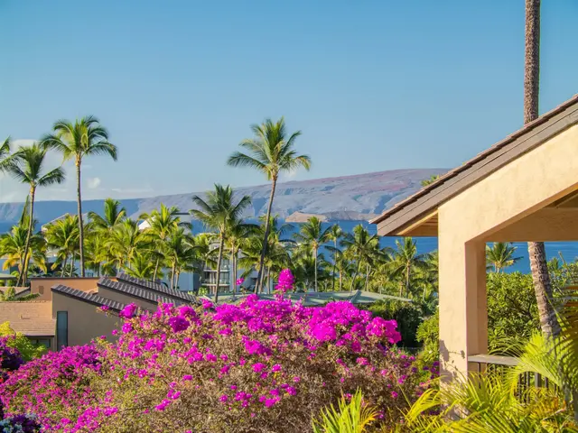 Listing Image for 3300 Wailea Alanui Dr 41c 8 of 50