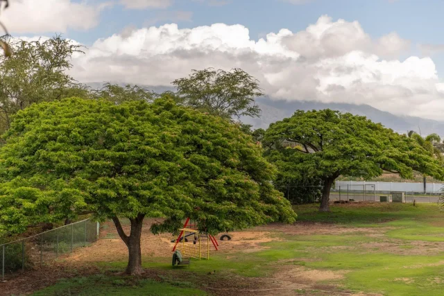 Listing Image for 24 Laumakani Loop 34 of 50