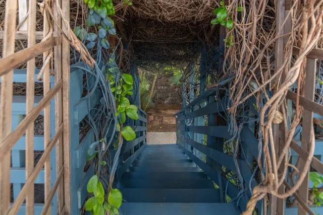 Listing Image for 24 Laumakani Loop 42 of 50