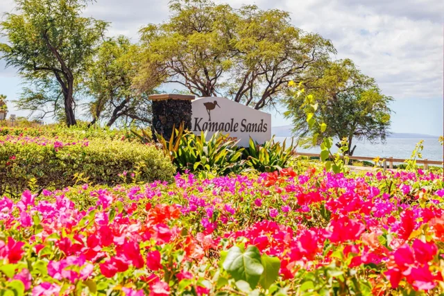 Listing Image for 2695 S Kihei Rd 5-214 47 of 50