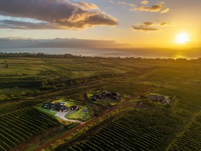 Listing Image for 3251 Aina Mahiai Pl 13 44 of 49