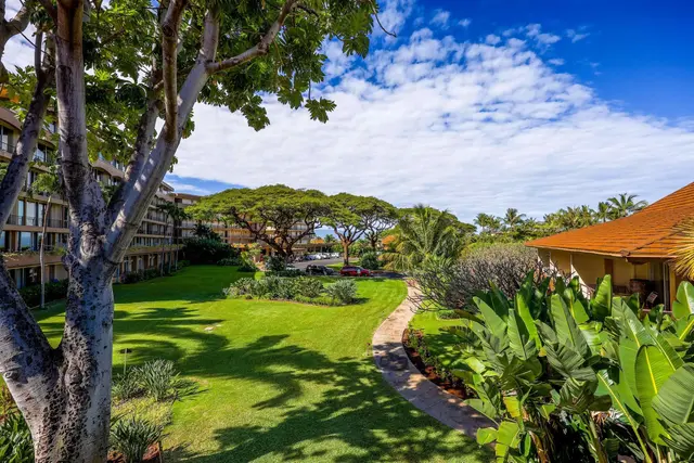 Listing Image for 45 Kai Ala Dr B244 4 of 11