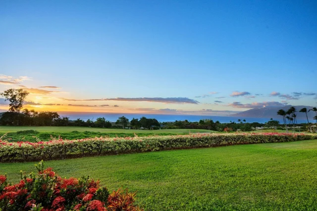 Listing Image for 3950 Kalai Waa St E102 4 of 29