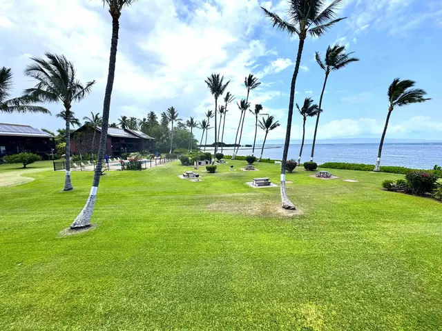 Listing Image for 1000 Kamehameha V Hwy 207a 3 of 14