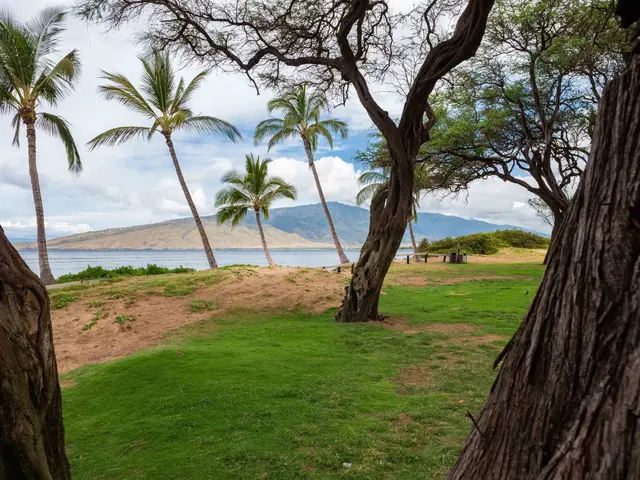 Listing Image for 26 Kai Makani Loop 101 36 of 42