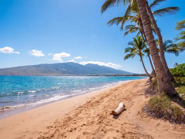 Listing Image for 26 Kai Makani Loop 101 38 of 42