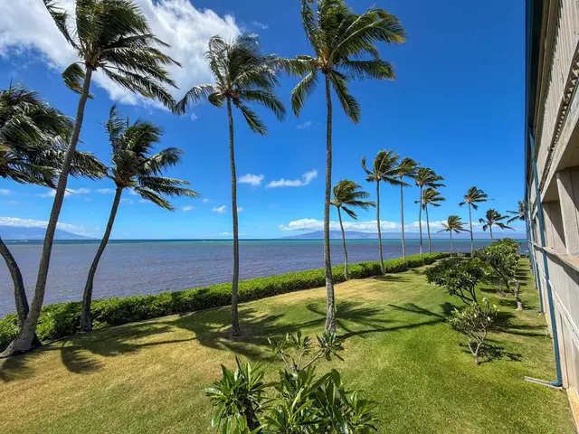 Listing Image for 7146 Kamehameha V Hwy A203 11 of 16