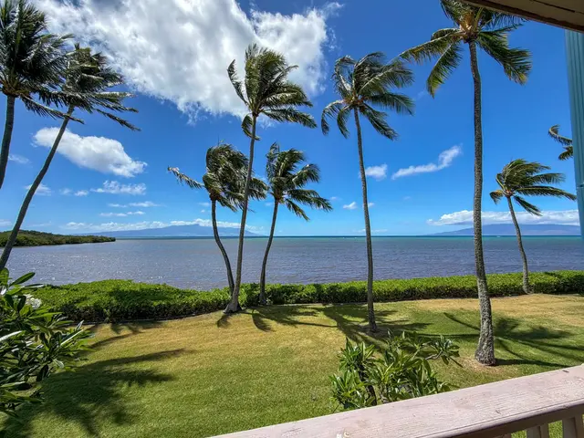 Listing Image for 7146 Kamehameha V Hwy A203 2 of 16