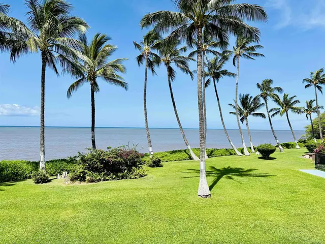 Listing Image for 1000 Kamehameha V Hwy 232c 2 of 36