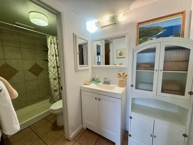 Listing Image for 1000 Kamehameha V Hwy 232c 21 of 36