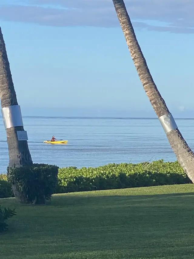Listing Image for 1000 Kamehameha V Hwy 232c 31 of 36