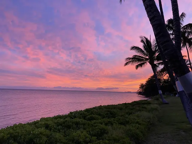 Listing Image for 1000 Kamehameha V Hwy 232c 33 of 36