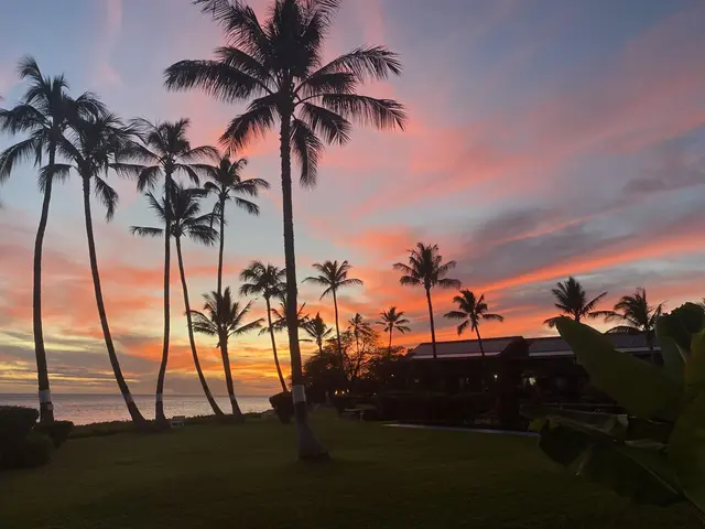 Listing Image for 1000 Kamehameha V Hwy 232c 34 of 36