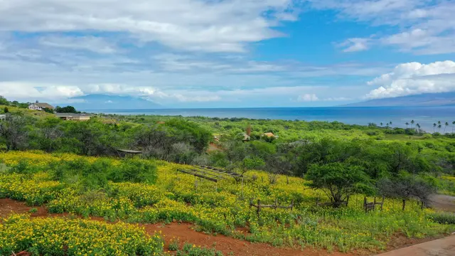Listing Image for 315 Onioni Dr Lot 43 24 of 25