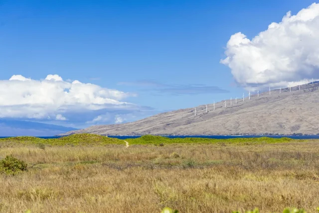 Listing Image for 892 S Kihei Rd 20 of 22