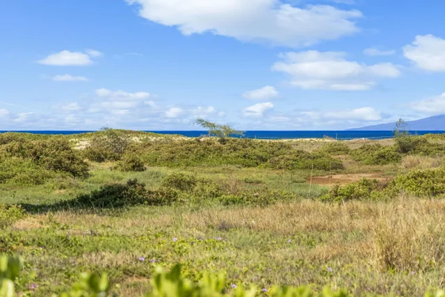 Listing Image for 892 S Kihei Rd 21 of 22