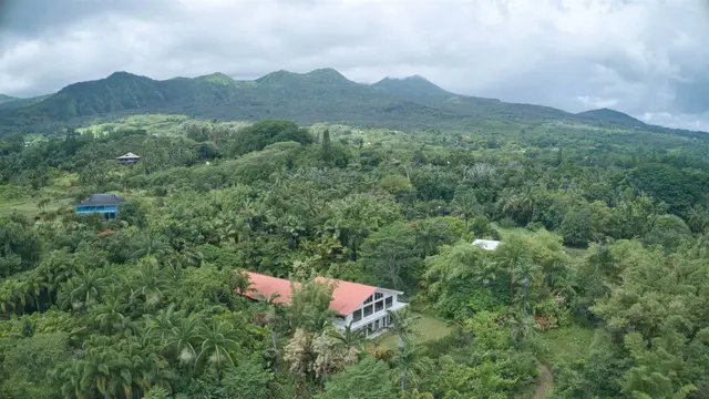 Listing Image for 155 Maia Rd 5 of 50